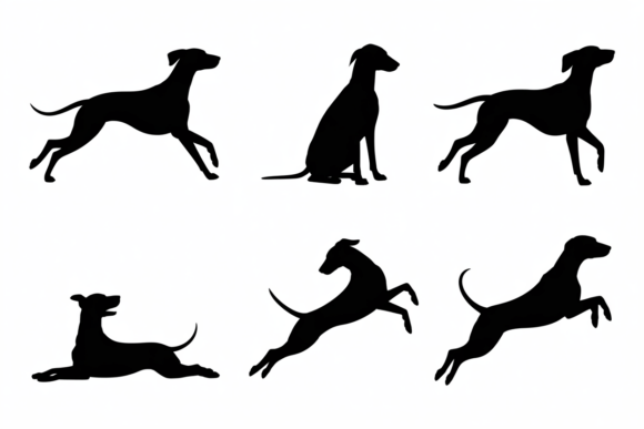 Black Dog Silhouettes Review