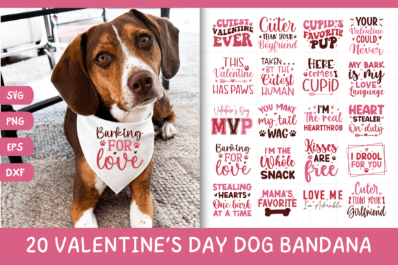 Cute Valentines Day Dog Bandana Bundle: A Practical Review