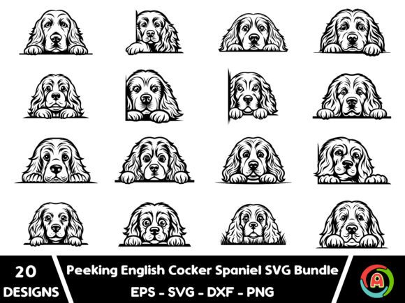 English Cocker Spaniel Peeking Dog Review