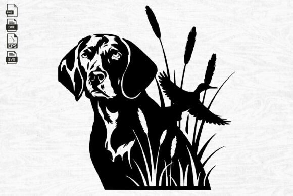 German Shorthaired Pointer, Hunting Dog