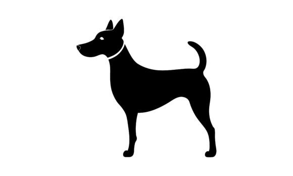 Silhouette of a Standing Dog